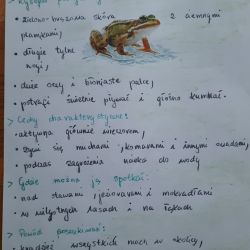 list gonczy