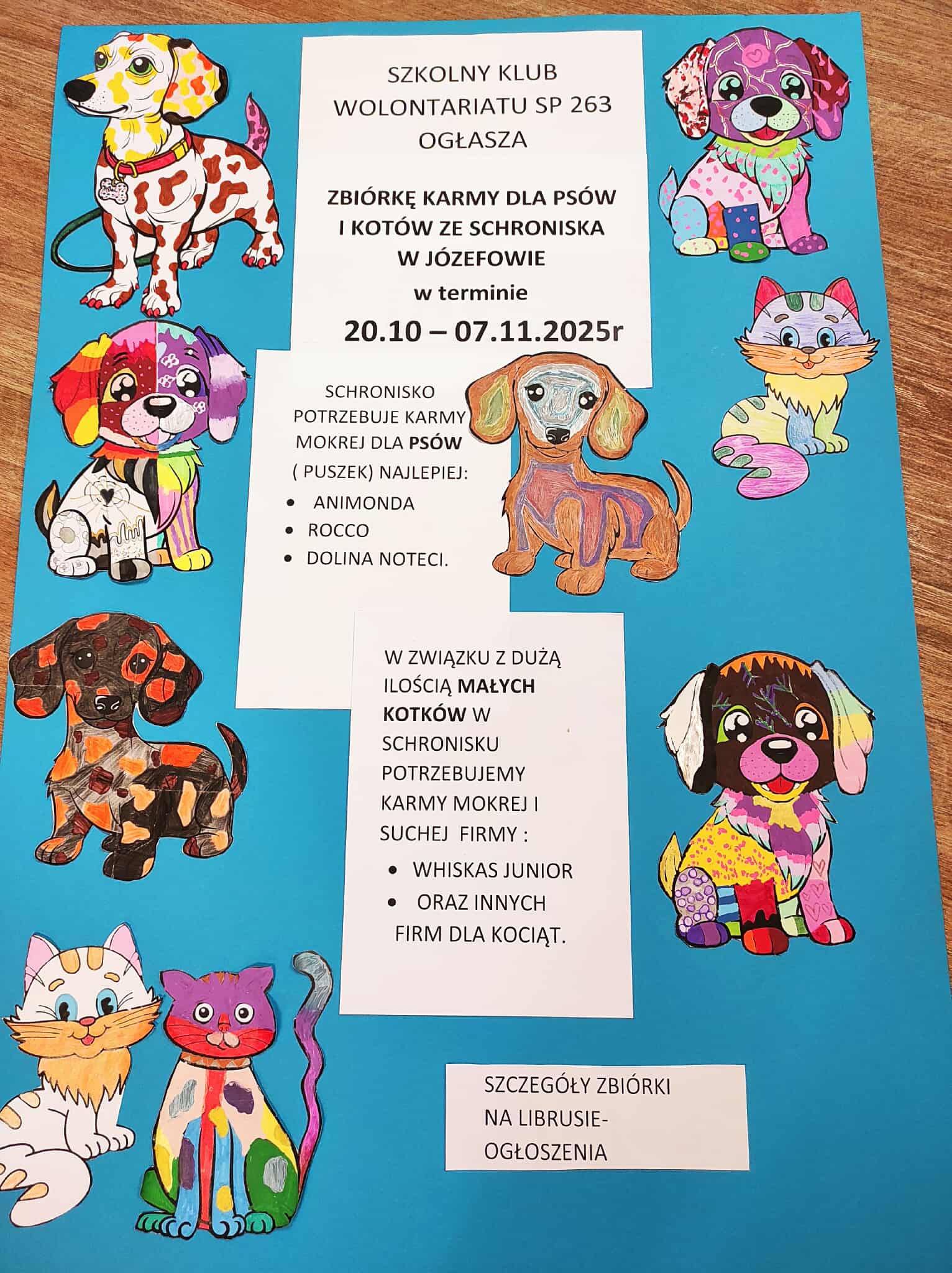 Zbiórka karmy dla schroniska